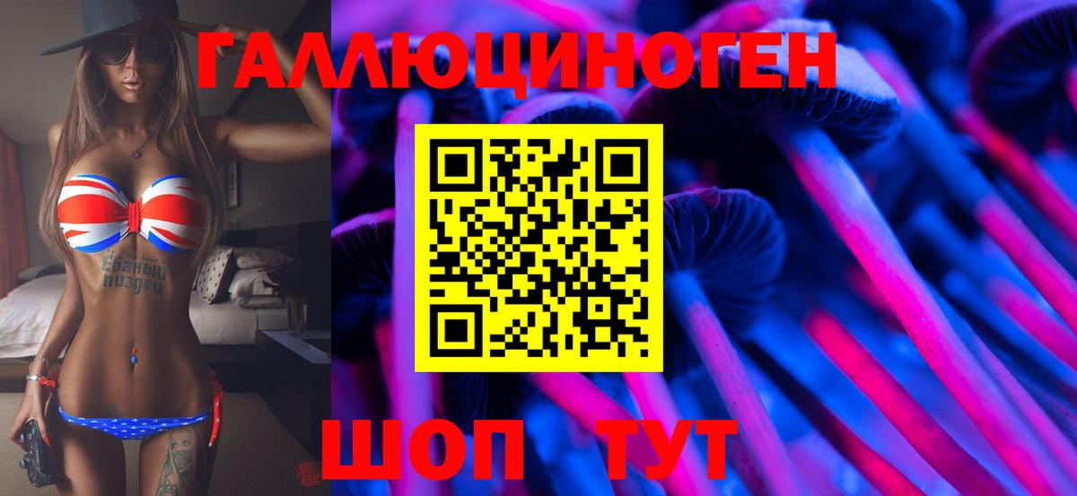 Псилоцибиновые грибы Psilocybe  Вход с VPN  Гуково 